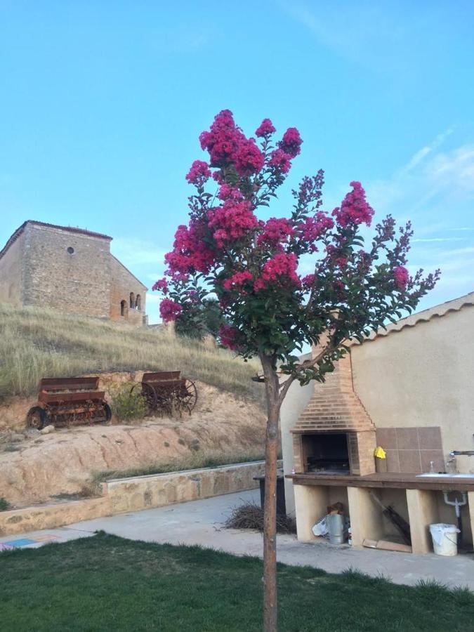 Casa Rural La Charolesa Aguilera Exterior photo