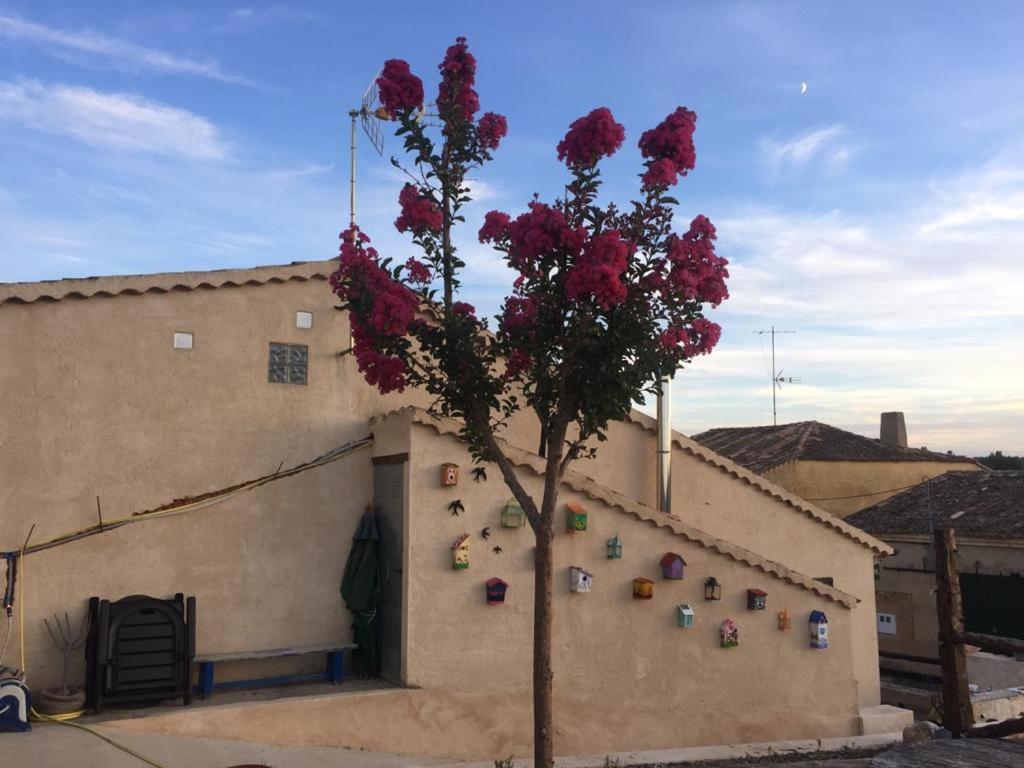 Casa Rural La Charolesa Aguilera Exterior photo